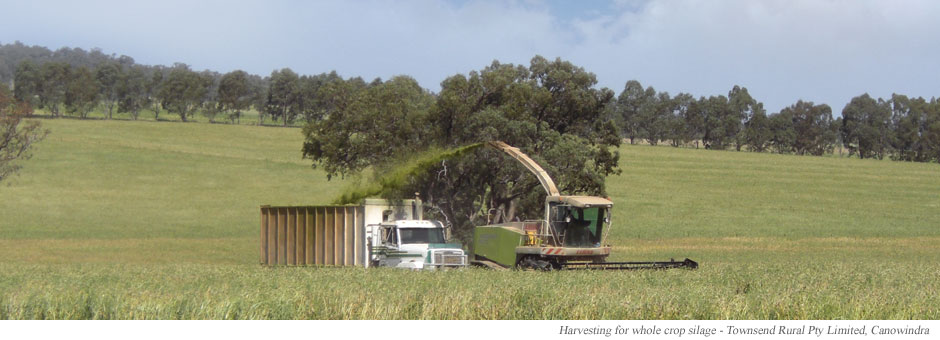 Harvesting