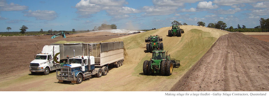 Making silage