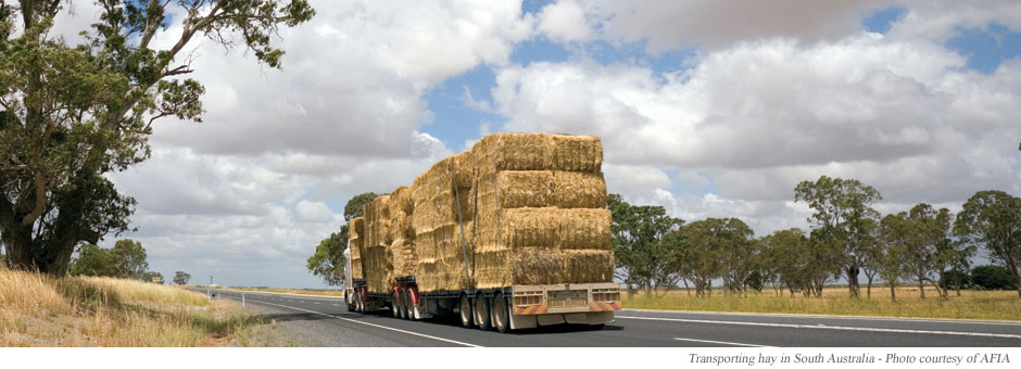 Transporting hay